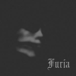 Listen to Idzie zima song with lyrics from Furia