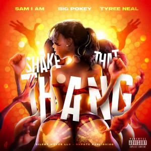 Shake That Thang (feat. Pokey Bear & Tyree Neal) (Explicit)