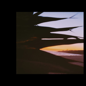 Seizures的專輯In a Valley of Twilit Meres