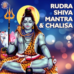 收聽Vighnesh Ghanapaathi的Rudram Namakam歌詞歌曲