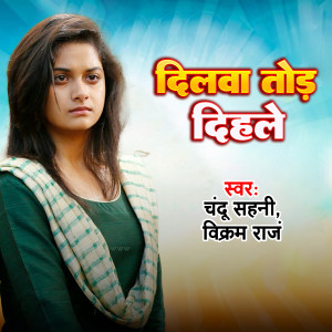 Album Dilwa Tod Dihale from 