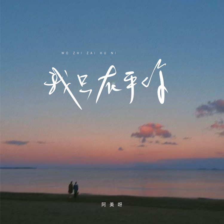 我只在乎你（人生几何能够得到知己）