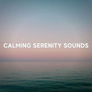 Dengarkan lagu Fantasia nyanyian All Night Sleeping Songs to Help You Relax dengan lirik