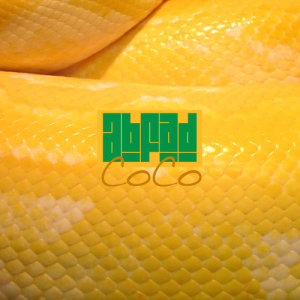 收聽Abfad的CoCo歌詞歌曲