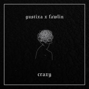 ดาวน์โหลดและฟังเพลง crazy (Gustixa Remix) พร้อมเนื้อเพลงจาก fawlin