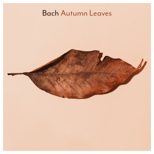 Bach: Autumn Leaves
