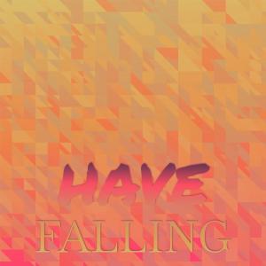 Various的专辑Have Falling