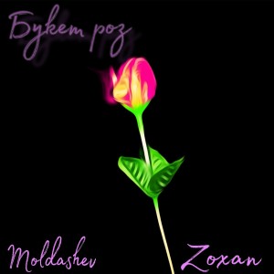 ดาวน์โหลดและฟังเพลง Букет роз พร้อมเนื้อเพลงจาก Moldashev