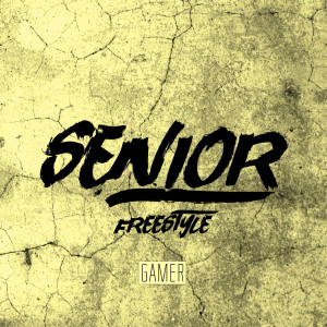 Dengarkan Senior (Freestyle) (Instrumental) lagu dari Gamer dengan lirik