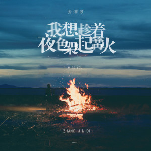 Album 我想趁着夜色架起篝火 from 张津涤