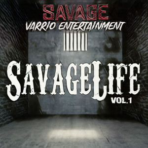 Listen to Fake Friends song with lyrics from Savage