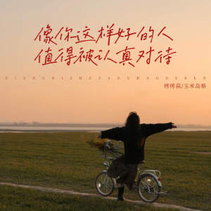 Album 像你这样好的人 值得被认真对待 from 
