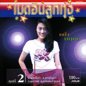 ดาวน์โหลดและฟังเพลง ดอกไม้ป่า พร้อมเนื้อเพลงจาก หนึ่ง หฤทัย