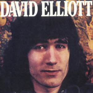 收聽David Elliott的Dear Mary (Remastered)歌詞歌曲