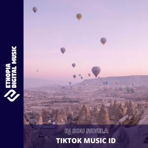 ดาวน์โหลดและฟังเพลง DJ SOU FAVELA พร้อมเนื้อเพลงจาก TikTok Music ID