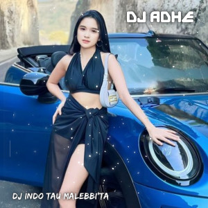 Album DJ Indo Tau Malebbi'ta from DJ Adhe