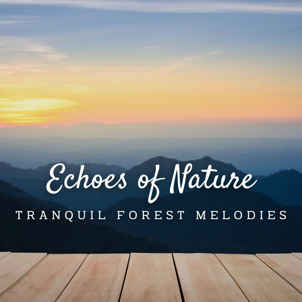 Peaceful Mountain Reverberations