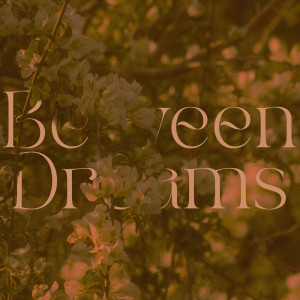 ดาวน์โหลดและฟังเพลง Between Dreams พร้อมเนื้อเพลงจาก Hollie Kenniff