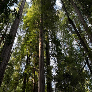 收聽CATVLYST的Dirty Money (Teaser) (feat. suggs)歌詞歌曲