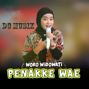 Dengarkan Penakke Wae lagu dari Woro Widowati dengan lirik