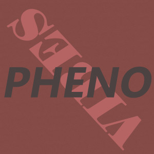 Listen to Vibes (Explicit) song with lyrics from Phéno
