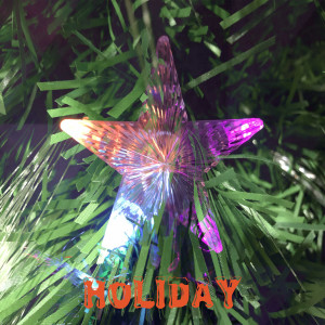 Listen to Holiday (Explicit) song with lyrics from SPpr