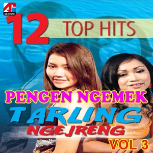 Pengen Ngemek - 12 Lagu Top Hits Tarling Ngejreng, Vol. 3 dari Ella N