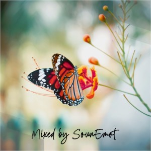 Listen to Top 8 May 2023 Emotional and Uplifting Trance (Mixed by SounEmot) song with lyrics from SounEmot State (Dj)