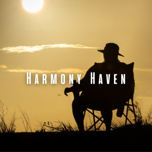 Album Harmony Haven: Serene Relaxation with Soothing Pink Noise oleh Pink Noise Baby Sleep