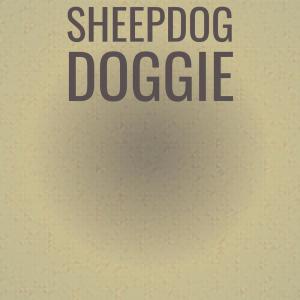 Album Sheepdog Doggie from Various