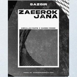 ดาวน์โหลดและฟังเพลง Zaeerok Jana พร้อมเนื้อเพลงจาก SAZGIR