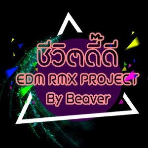 อัลบัม ชีวิตดี๊ดี (EDM RMX Project by Beaver) - Single ศิลปิน หญิงลี ศรีจุมพล