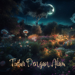 Tidur Dengan Alam (Relaksasi Mendalam) dari Musik Tidur