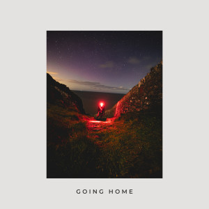 Album Going Home from Deja vu