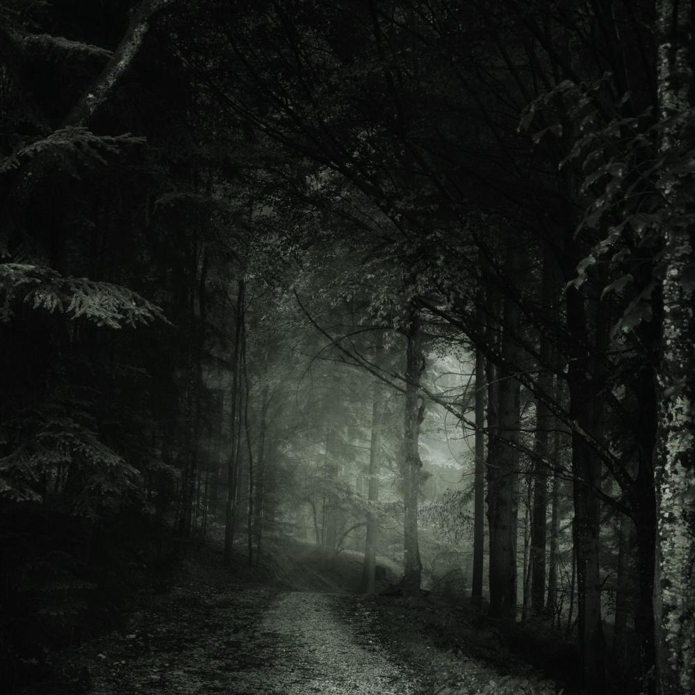 Unknown (Slowed & Reverb)