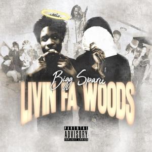 Dengarkan We Da Ones ( Bonus Track ) (Explicit) lagu dari Bigg Sparcc dengan lirik