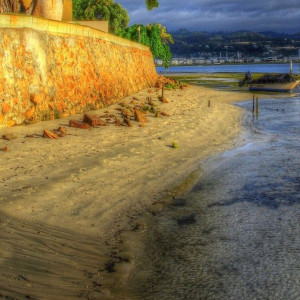 default playlist img