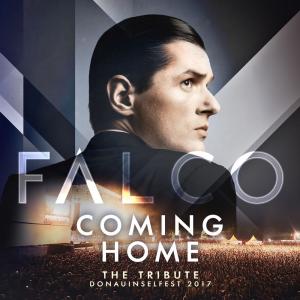ดาวน์โหลดและฟังเพลง Rock Me Amadeus (Donauinsel 2017 Live) พร้อมเนื้อเพลงจาก Falco