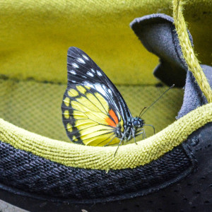 收聽Kundika Sani的Take Me Home歌詞歌曲