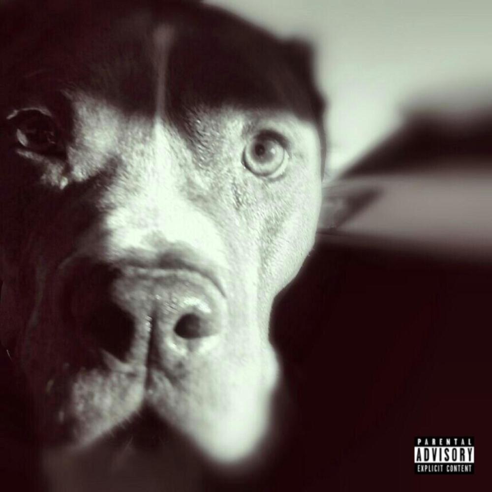Pitbull (Explicit)