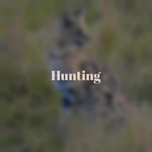 Dengarkan lagu Penne nyanyian Nela Bles dengan lirik