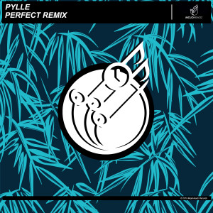 ดาวน์โหลดและฟังเพลง Perfect Remix พร้อมเนื้อเพลงจาก Pylle