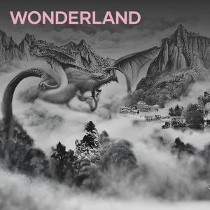 Album Wonderland (Remix) oleh VIEWGANG