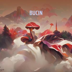 ดาวน์โหลดและฟังเพลง Bucin (Remastered 2024) พร้อมเนื้อเพลงจาก Yaampun Irwan
