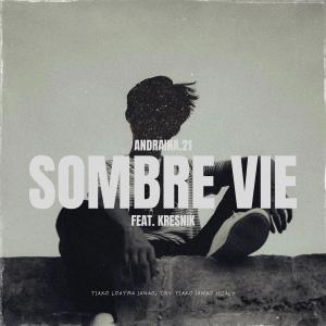 ดาวน์โหลดและฟังเพลง Sombre vie (feat. Kresnik) (Explicit) พร้อมเนื้อเพลงจาก Andraina