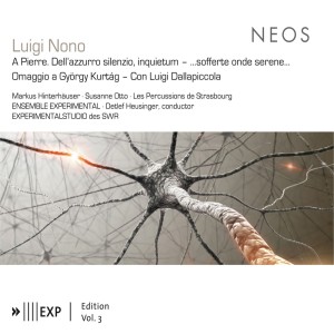 ดาวน์โหลดและฟังเพลง A Pierre, "Dell'azurro silenzio, inquietum" พร้อมเนื้อเพลงจาก Roberto Fabbriciani