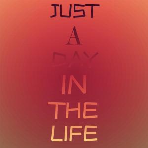 Listen to I’m Only a Cowboy song with lyrics from itiadirura titirunina