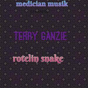 อัลบัม Rattling snake (Special Version) ศิลปิน Terry Ganzie