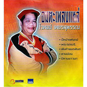 ดาวน์โหลดและฟังเพลง สุดลำเค็ญ พร้อมเนื้อเพลงจาก ไวพจน์ เพชรสุพรรณ