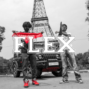 Album Flex from 